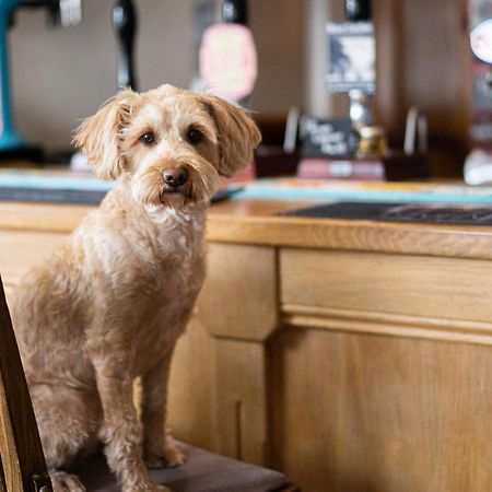 Masons Arms Amble Bed & Breakfast Luaran gambar