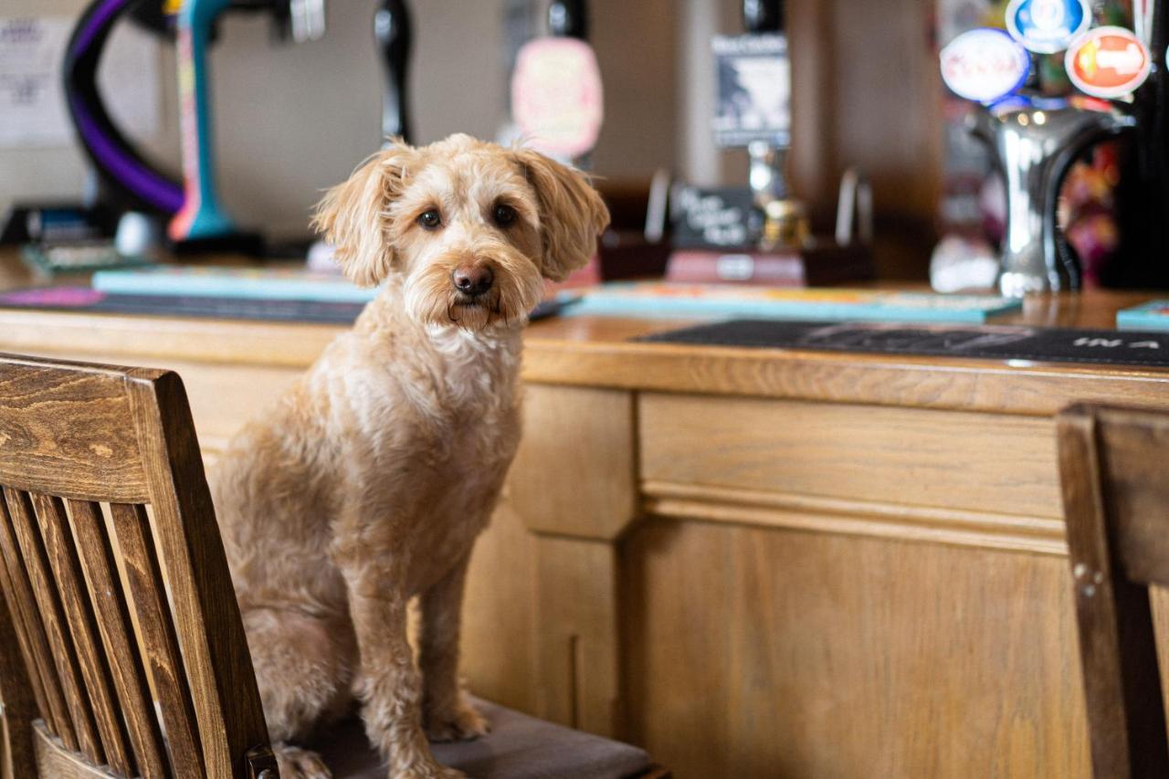 Masons Arms Amble Bed & Breakfast Luaran gambar